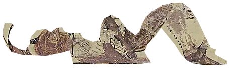 Евфорб. Euphorbus — Rhodian plate, British Museum GR 1860,0404.1